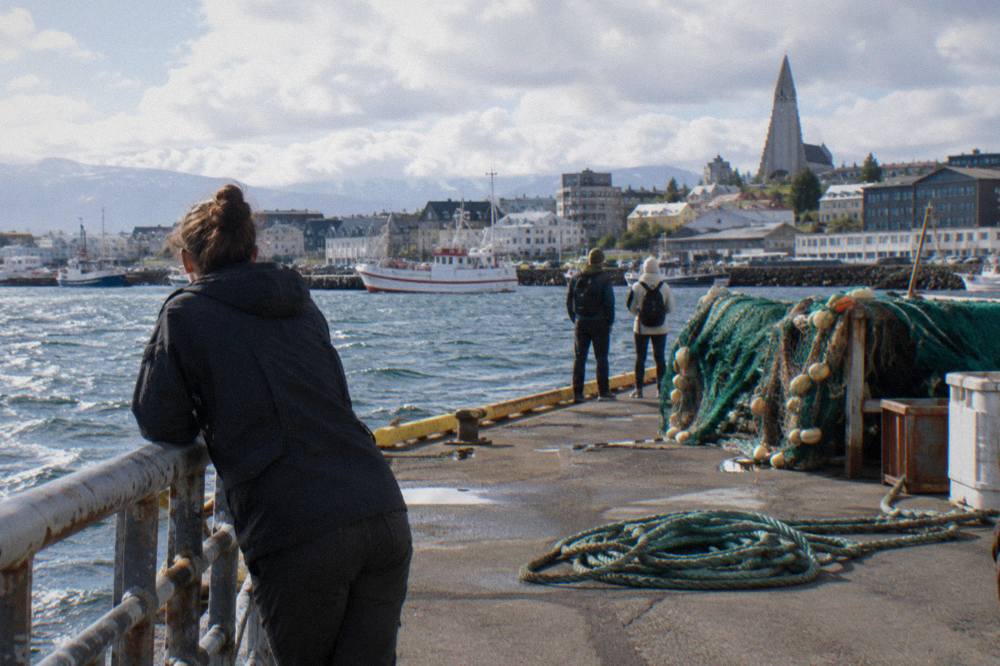 A local guide talking with a small group at a harbour railing in Reykjavik