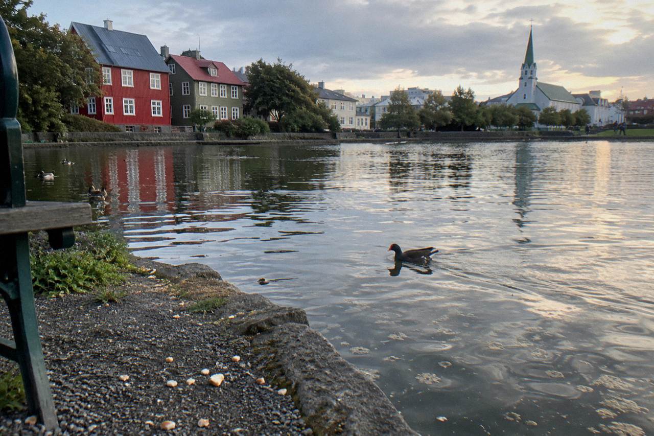 Colourful corrugated iron houses beside a calm city pond in central Reykjavik