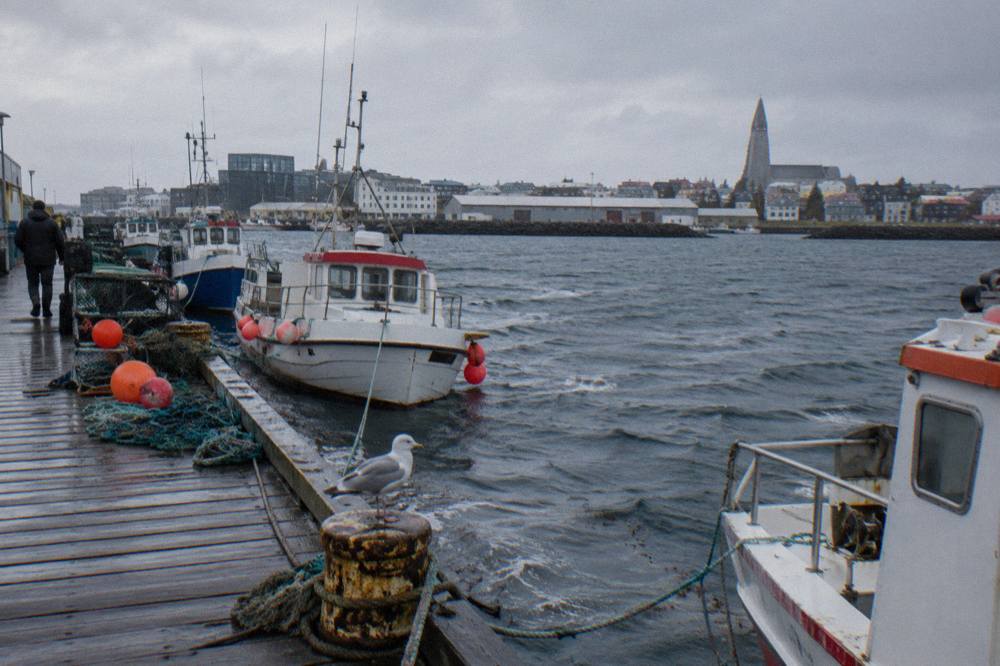 Old harbour in Reykjavik with small fishing boats moored along the pier