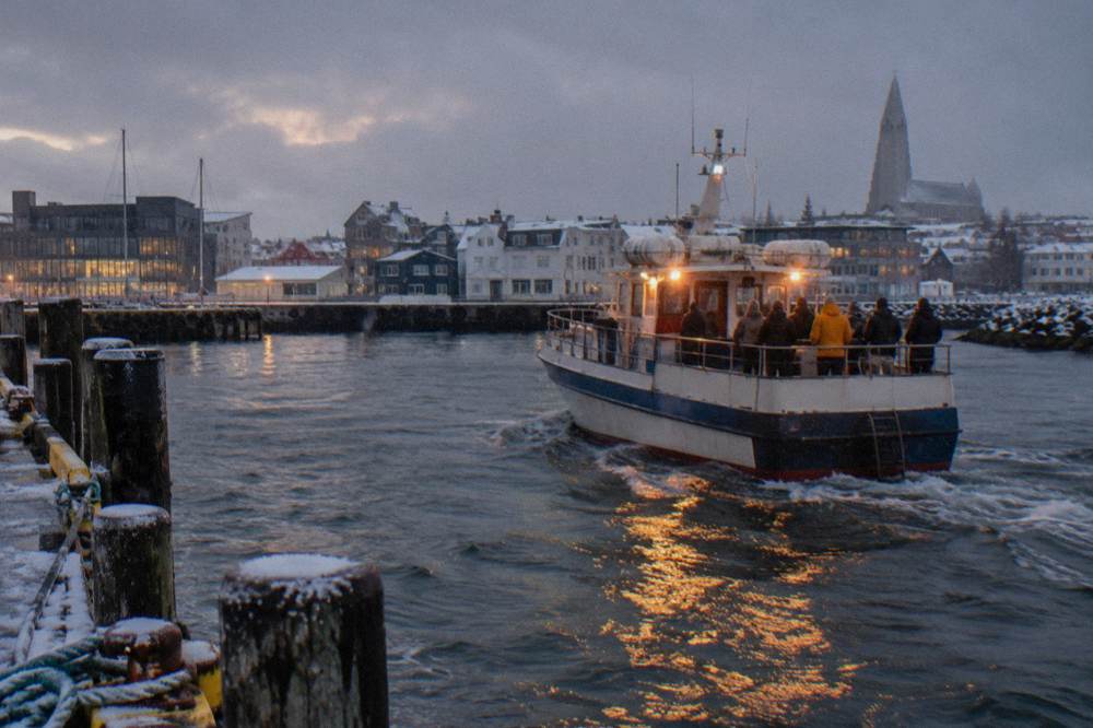 Small whale watching boat leaving a harbour pier at dusk