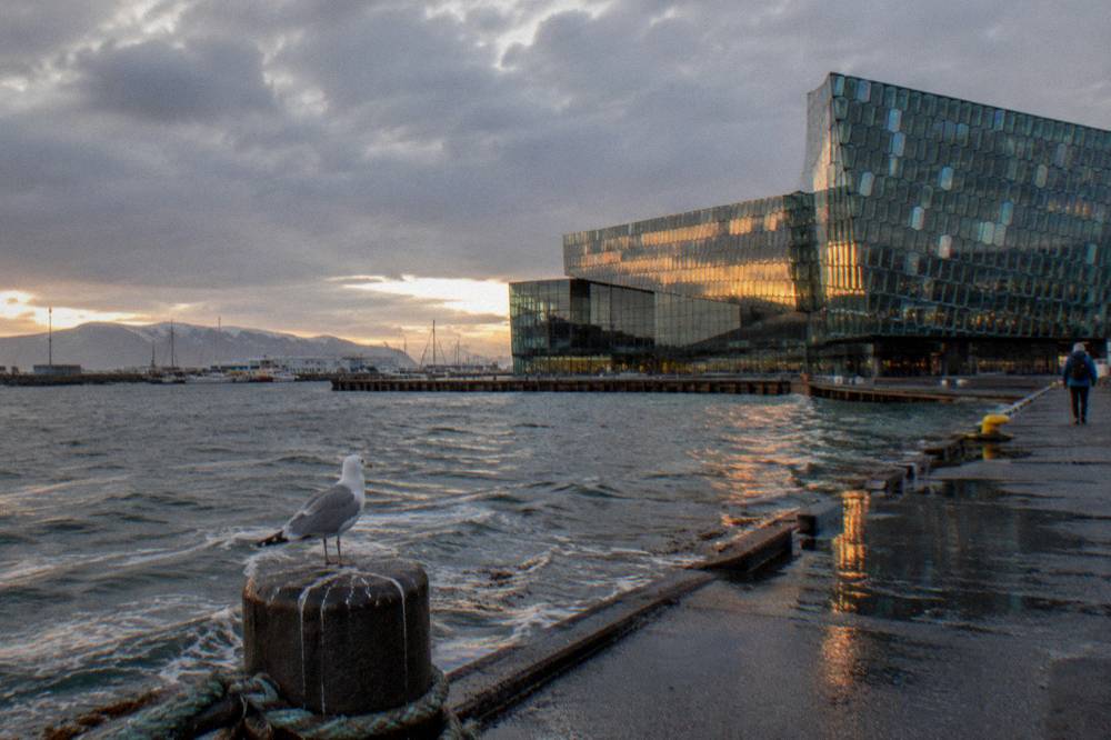 Harpa concert hall glass facade reflecting low evening light by the harbour