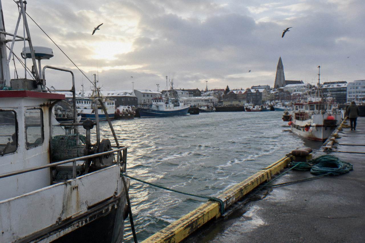 Reykjavik old harbour waterfront with moored boats and low winter light over the water