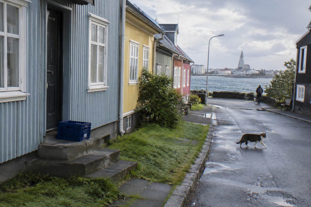 Colourful corrugated iron houses on a quiet Reykjavik street under a soft morning sky