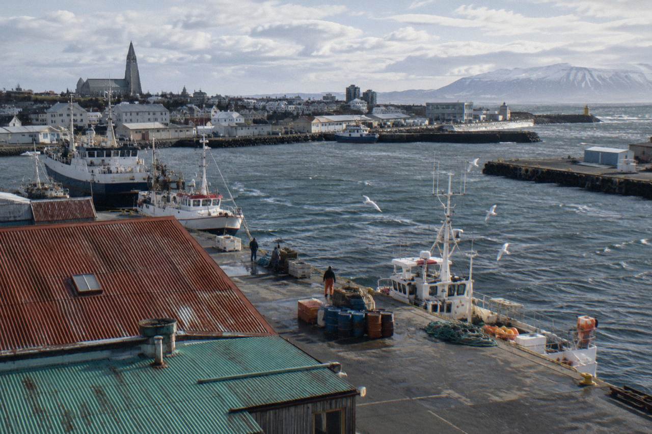 Colourful tin rooftops of central Reykjavik seen from above with the harbour beyond