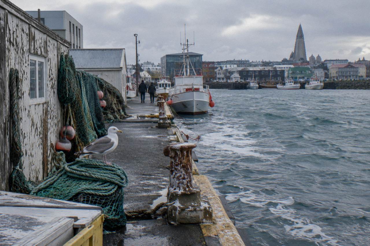 Old harbour buildings in Reykjavik under a soft winter sky