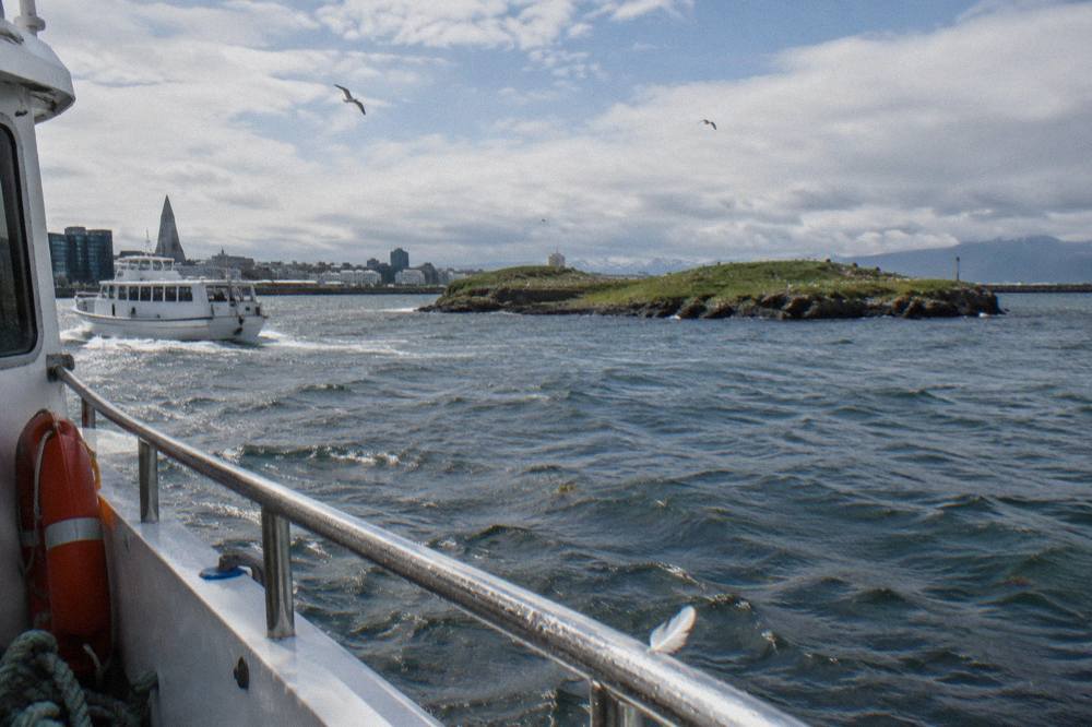A small passenger boat cruising past a low green island dotted with nesting seabirds