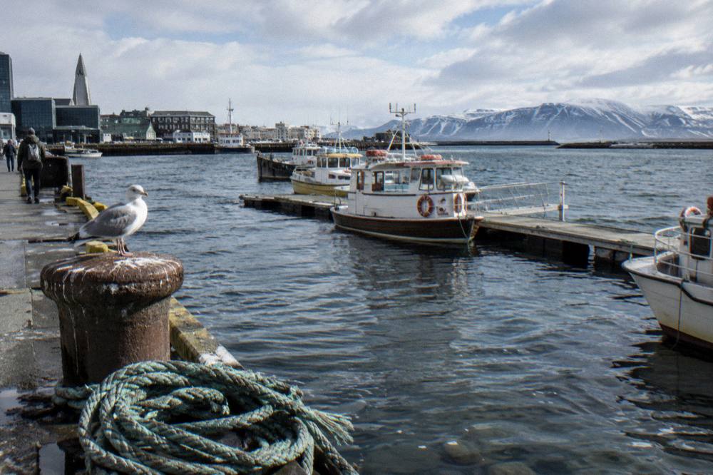 Small tour boats moored along a harbour pier with snow dusted hills in the distance