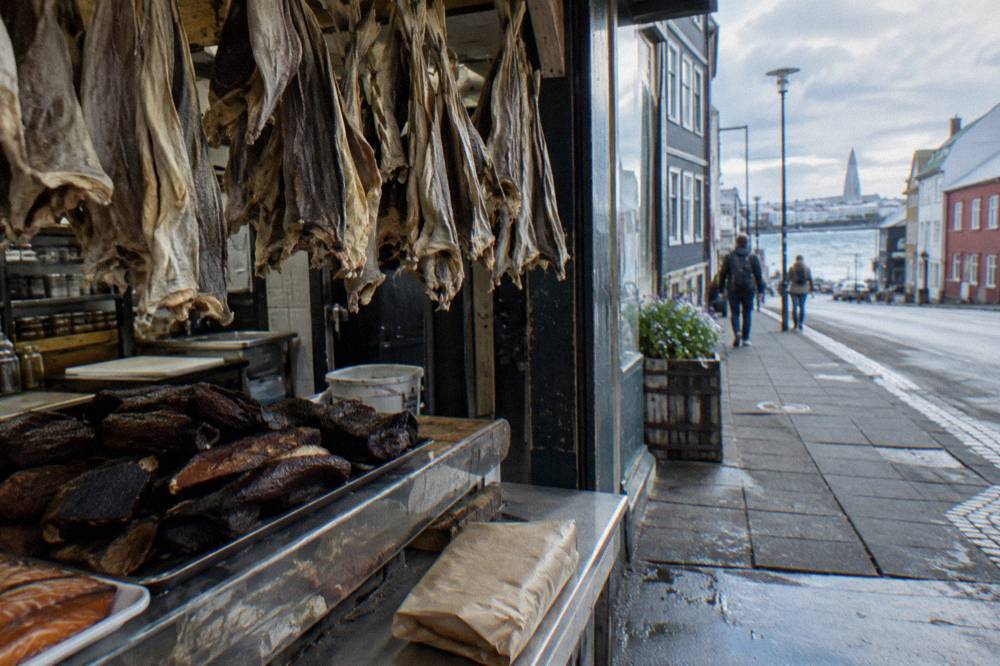 Counter of an Icelandic deli with hanging dried fish and trays of smoked lamb