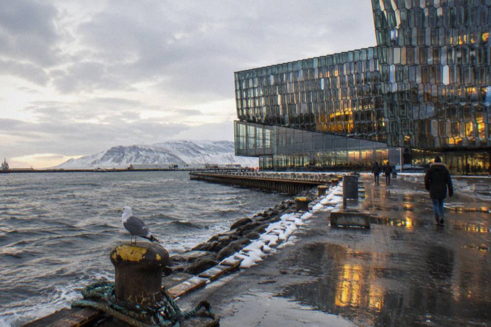 The glass facade of the Harpa concert hall reflecting low winter light beside the old harbour in Reykjavik