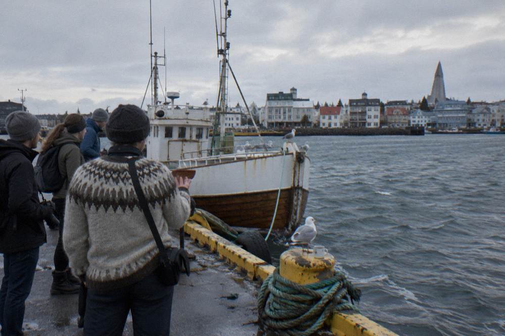 A local guide speaking with a small group beside the Reykjavik harbour in soft light