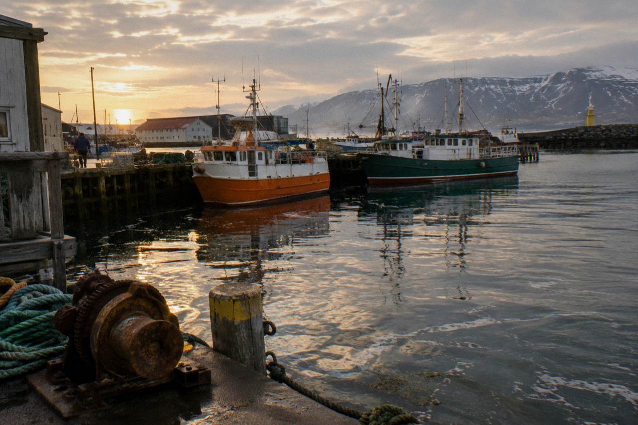 Golden light on the Reykjavik old harbour with boats and distant mountains