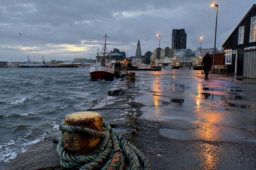 Wet pavement reflecting streetlights near the old harbour in Reykjavik