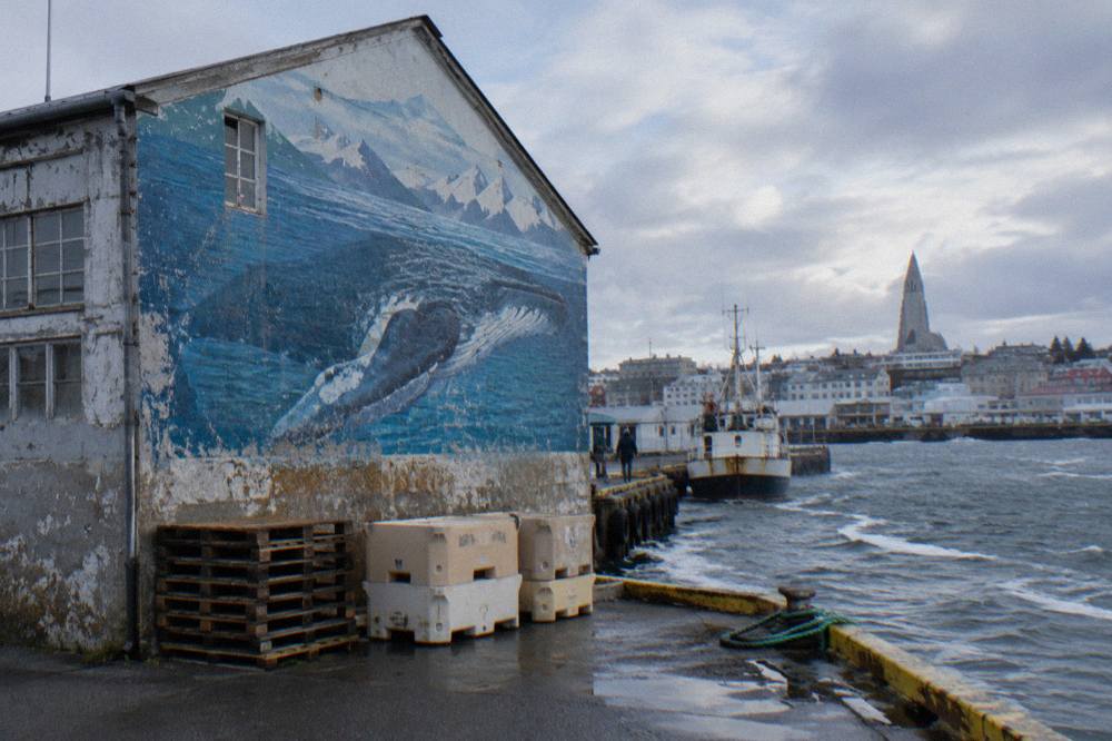 Large colourful mural on a gable end wall in a Reykjavik city street