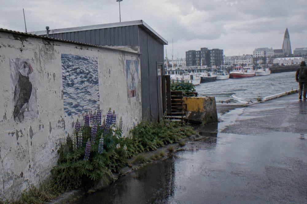Quiet side street in Reykjavik with small artworks on low walls and parked bicycles
