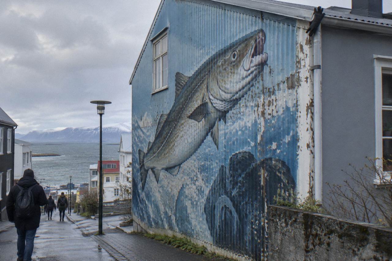 Colourful mural covering the side wall of a building in central Reykjavik under an overcast sky