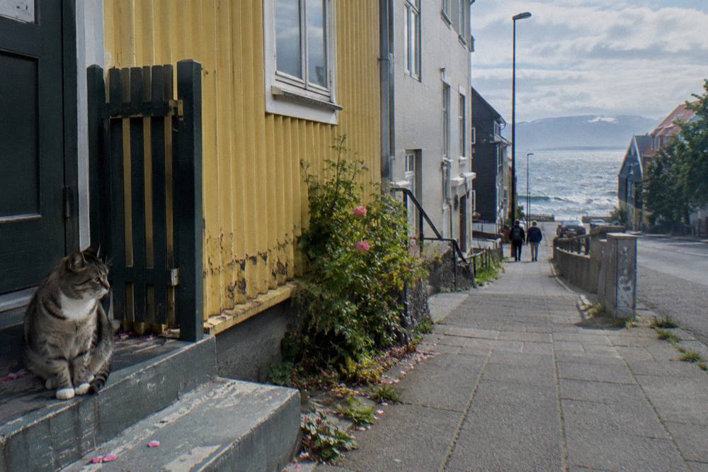 A cat sitting on a doorstep beside a brightly painted corrugated iron house in Reykjavik