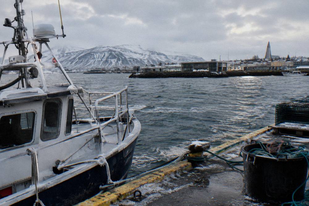 A whale watching boat moored at the old harbour in late afternoon winter light with mountains beyond