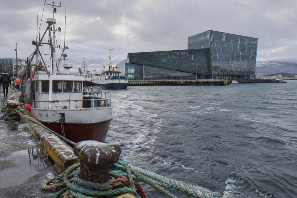 Fishing boats moored along the Old Harbour with Harpa concert hall in the distance