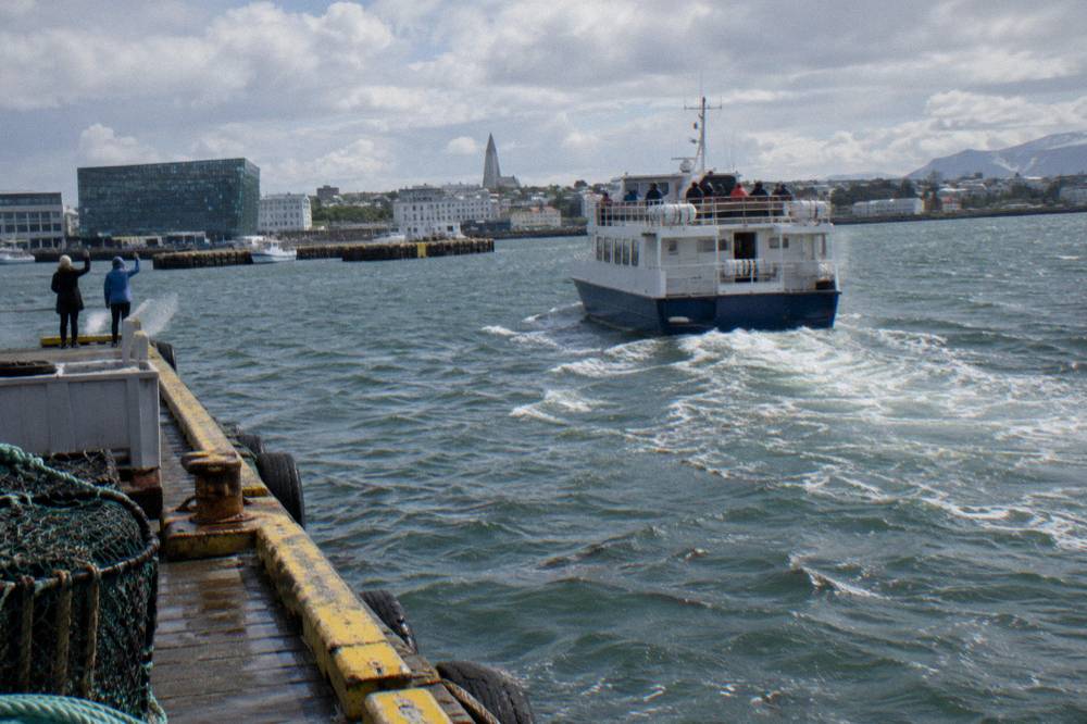 A whale watching boat leaving the Old Harbour pier toward open water