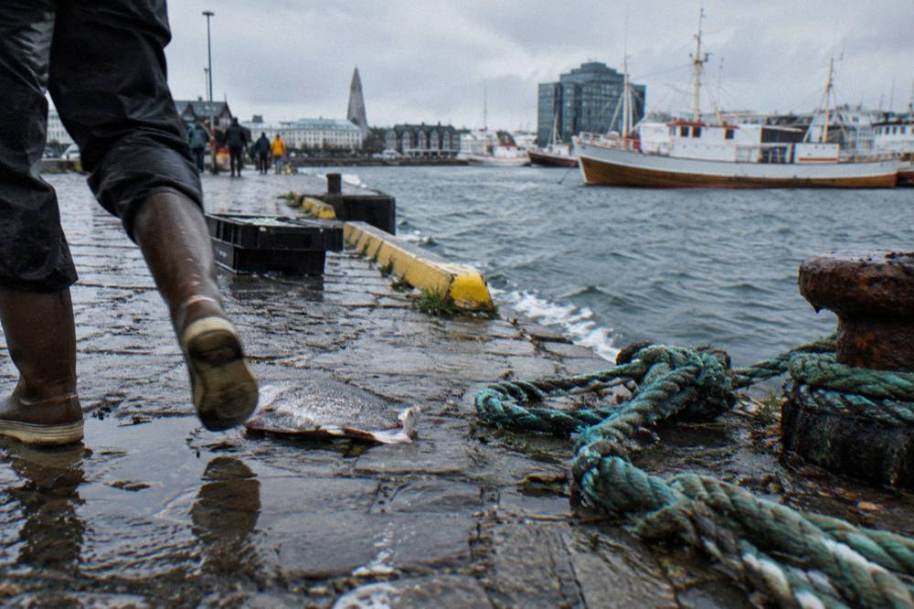 Waterproof walking shoes on wet cobblestones near the Old Harbour
